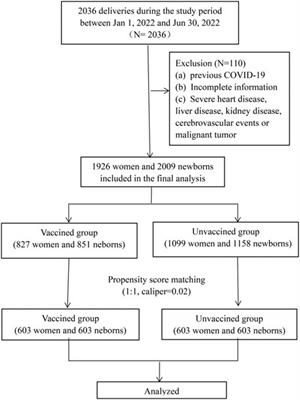 Prenatal maternal inactivated COVID-19 vaccination: the maternal and neonatal outcomes, a retrospective cohort study